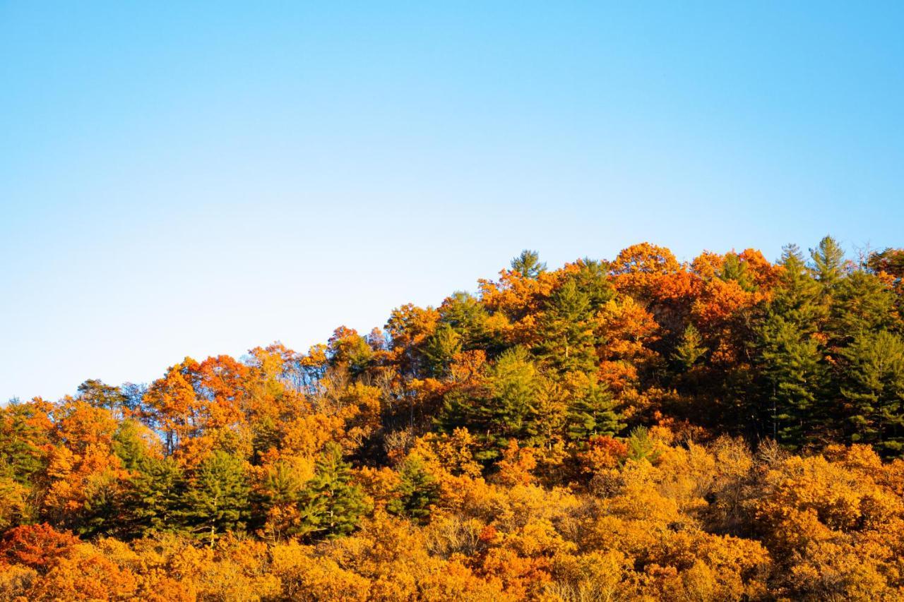 Hotel Bay Mountain Smoky Mountains Cherokee